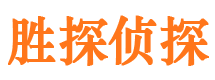 蓝山侦探公司